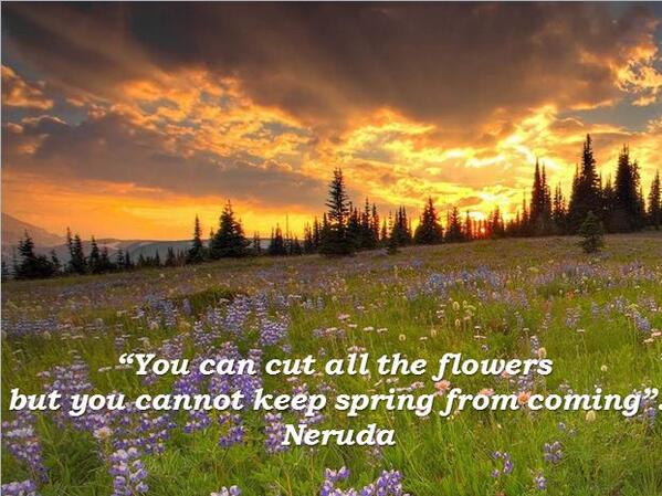 Rabe25's tweet photo. "You can cut all the flowers but you cannot keep spring from coming" Neruda http://t.co/RZdP4GrMoo