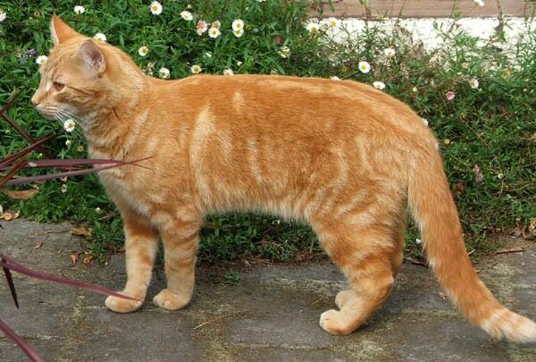 RP_Shadow's tweet image. Raggedfoot))