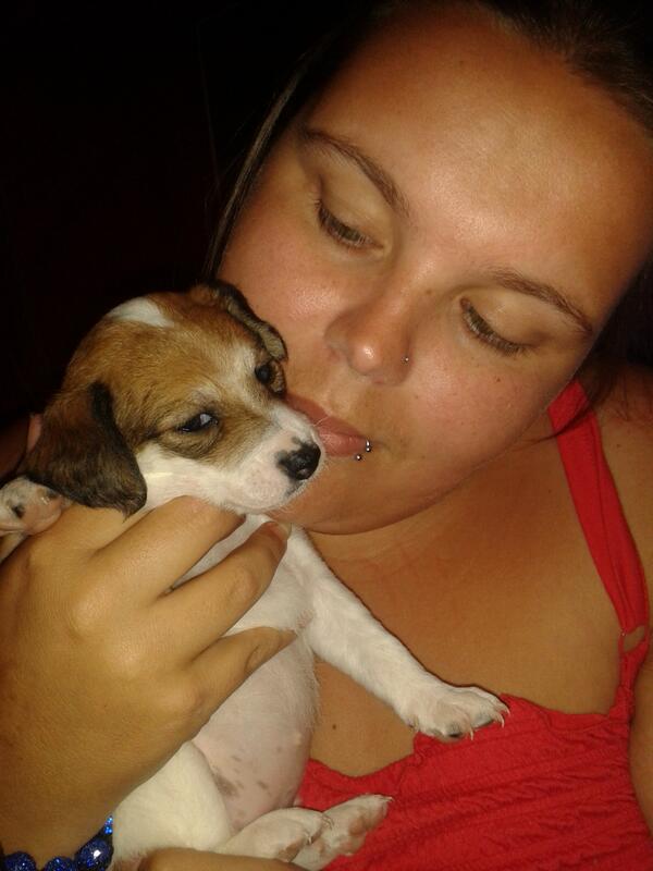 DivinitySakura's tweet image. N'ai t-elle pas mignonne? Un bébé de la portée de ma chienne.  Trop belle