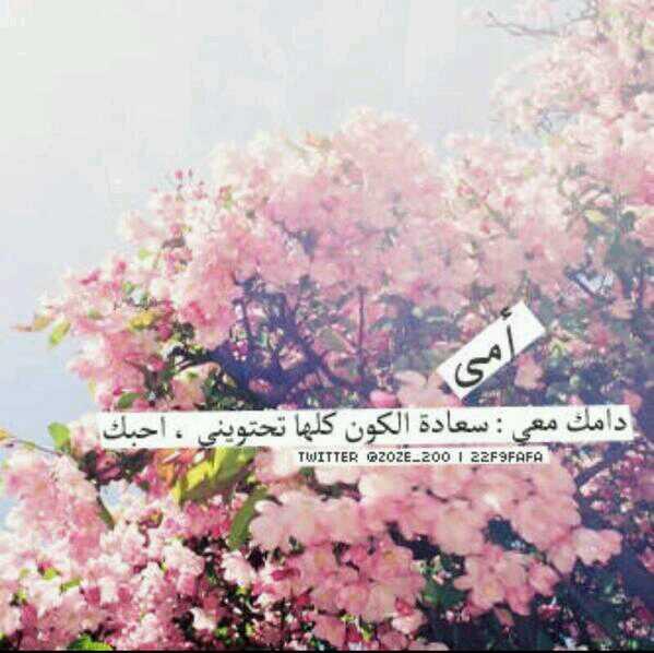 aamooor44's tweet image. : ‏آمي ؛ لو كان لي أن اكون شيئًا لكِ لَ كنت نبضًا ، وعافيہ لا تُفارق قلبك أبدًا  ♥♥!*""