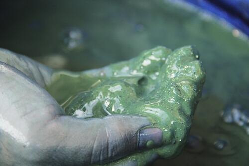 Natural Indigo dyed technic