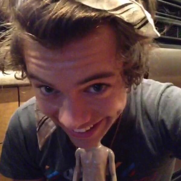 TWERKINGABE's tweet photo. “@zarrysconverse: "@styIesstagram: quote this and add a picture of harry pls" forgive me" gabe is here to help http://t.co/WFmWlzvwdm