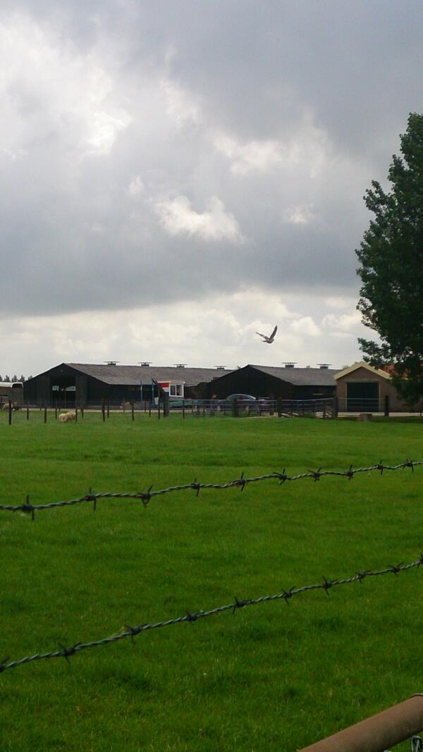 Jo Femia tweet media