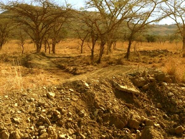 We're busy building the berms for <a href="/bergandbush/">Berg & Bush</a> even higher this week!