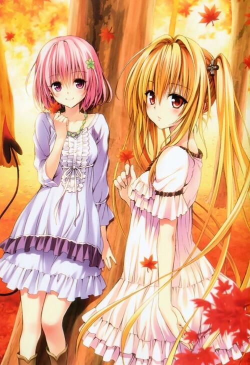 Toloveるダークネス二期開始急げ Twitter Search