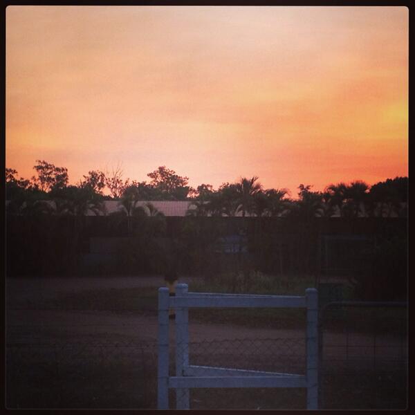 jesslovell's tweet image. #farmlife #crazyacres