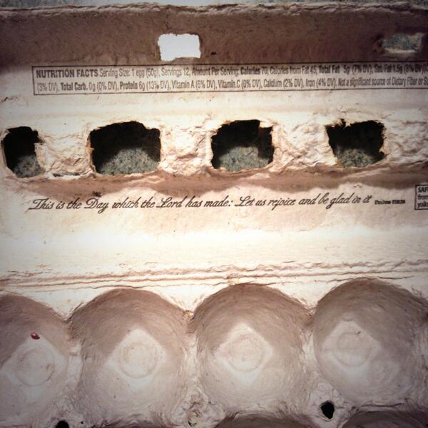 KelJoChase's tweet image. "This is the day which The Lord has made; let us rejoice and be glad in it" -eggs #christianeggs #morningprayer