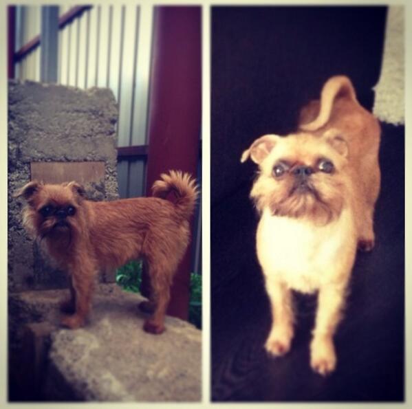 Тамила ❤🐕