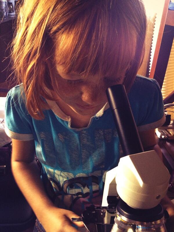 Seekn1HisKingdm's tweet image. Mahalos #homesciencetools.com