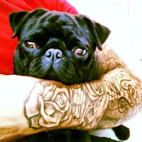 Ho1dens's tweet photo. Me and lil ernie kicking back! http://t.co/r3r00kGJ7D