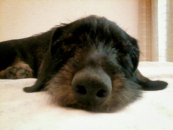 MariaPera9's tweet photo. Droga http://t.co/4mzdsuYNaW