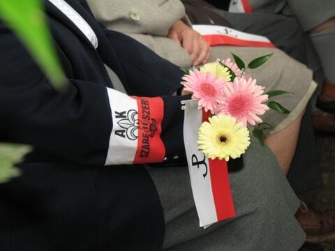 Bezpośredni odnośnik do obrazka