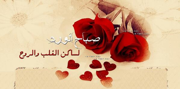 ms_she's tweet photo. صباح الورد على الكل http://t.co/1eW4pZ85Hw