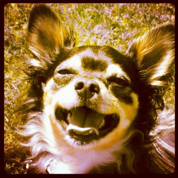 marvinharry's tweet photo. Hann a afmæli i dag, algjör gleðigjafi, góður og langbestur ! http://t.co/blYTqlqF2x