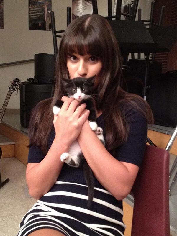 amaze_ironic's tweet photo. #GleeksAreProudOfLea #WeLoveYouLea #WeAreHereForLea http://t.co/9I1XpV9ByL