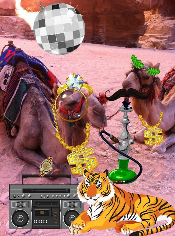 SquawkMe's tweet image. The camels in Jordan know how to #squawk it like it's hot. #baller #camel #swag #jordan made via @SquawkMe