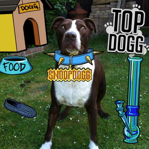 00Bevan's tweet photo. Created with Snoop Dogg's @SnoopifyApp free for iOS and Android! #snoopify http://t.co/gT8BBpyqcC http://t.co/AzdFhQCcbQ
