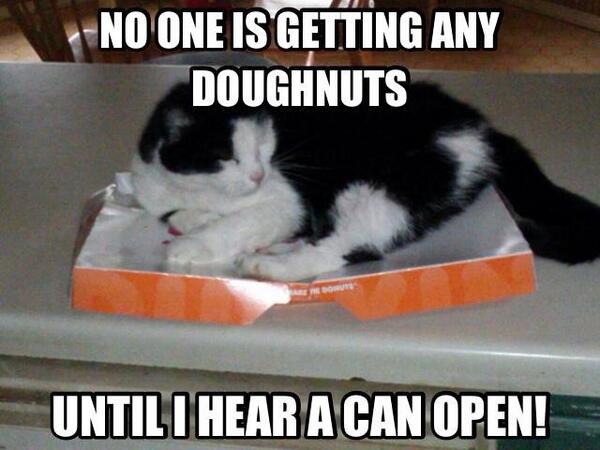 A_Blue_Angel1's tweet image. Sound familiar??