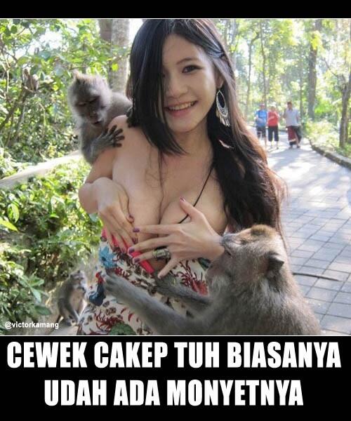 vctrkmng's tweet photo. "Cewek cakep tuh biasanya udah ada monyetnya.." 

#ihatequote http://t.co/lhdjr4jS8E