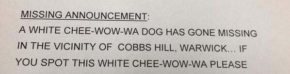 mrachadinha's tweet image. Found this at my job obviously the need to correctly spell chihuahua isn&apos;t needed lol #ItAllWorkedOut