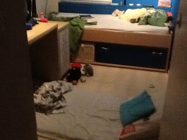 sannehuh's tweet photo. @petravulders 

HEERLIJK GESLAPEN!!!!💤😴 http://t.co/hNr1gX1Prs