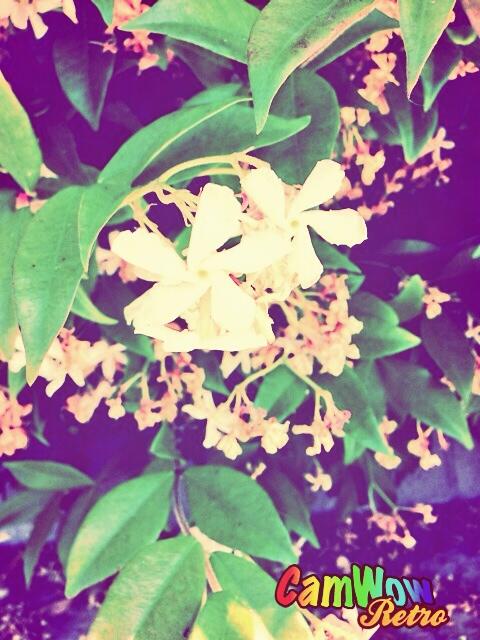 melbixd's tweet photo. 😚🌸 http://t.co/80nm4X4JZ0