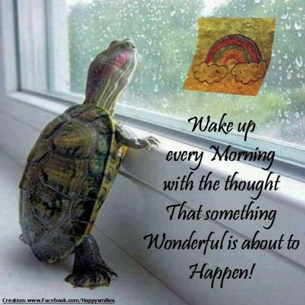 HelpAsh's tweet image. Wake up every morning with the thought that something wonderful is about to happen!