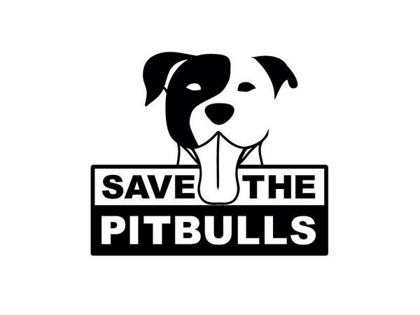 PittBullMoma tweet picture