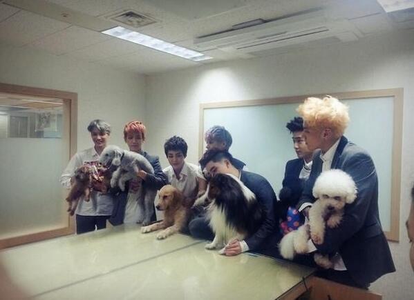On Twitter Exo And Dogs Omf Chanyeol Get Your Ferret Http T