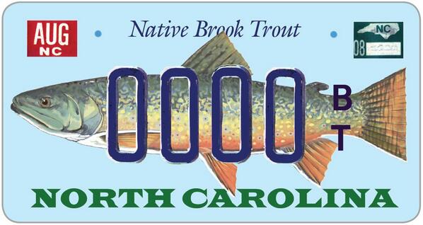 N.C. Wildlife on X: When worlds collide: #TroutBums & #CarBuffs More news  coming soon about NC's new #BrookTrout license plate.   / X
