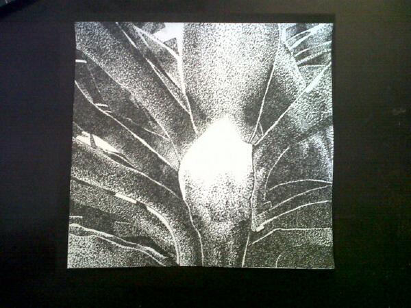 FullDesign1's tweet photo. Ilustración , técnica : puntillismo #UNE http://t.co/iMfxvjYoab