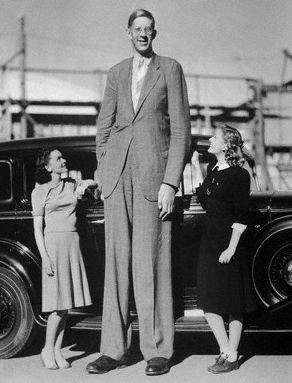 HistoryInPics's tweet photo. Robert Wadlow, The Giant of Illinois, is the tallest (272 cm/ 8' 11") person in history. C. 1940 http://t.co/sp4Gdg7qe5