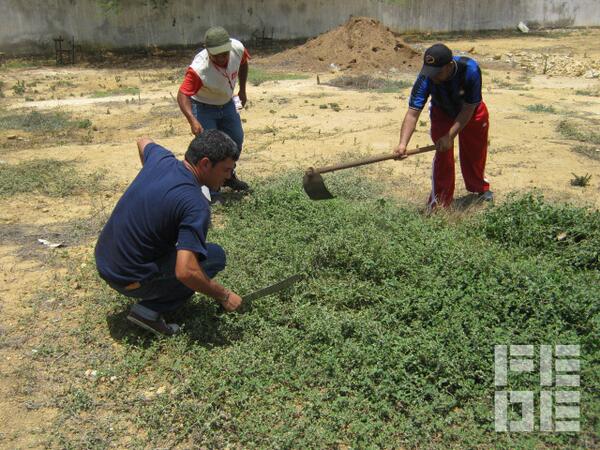 konecta2conNico's tweet photo. #UnaGotadeAmorParamiEscuela Edo. #Falcón L.B. EL HATO #FEDE http://t.co/0noqwGbRXJ