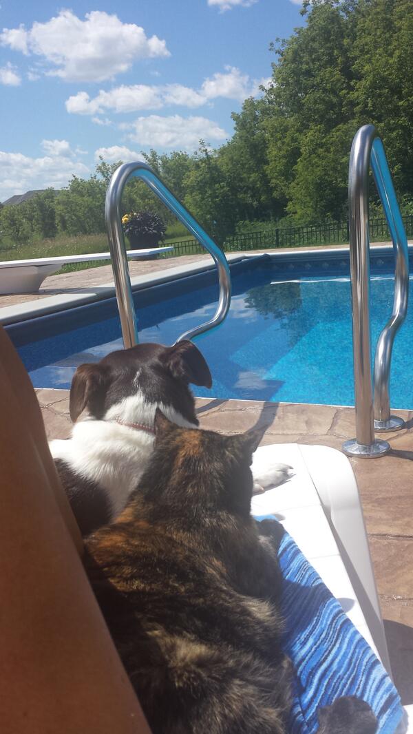 hijump1124's tweet image. #sunbuddies #partners #nobacktalk #true