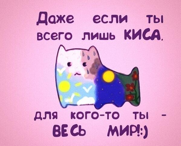 киса. киса мем. побольше цинизма людям это нравится. киса потеряла интерес со мной я хочу. потерять интерес цитаты.