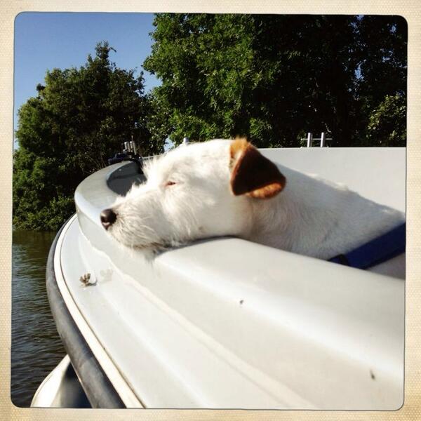 BOEI26's tweet image. Weer een lekkere dag morgen geniet ervan