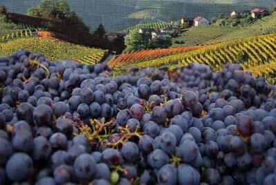 Tuscany, birthplace of the Italian Renaissance, Florence, Siena, Pisa, Carrara heart of Italy. carlinosrestaurant.com/category/cater…