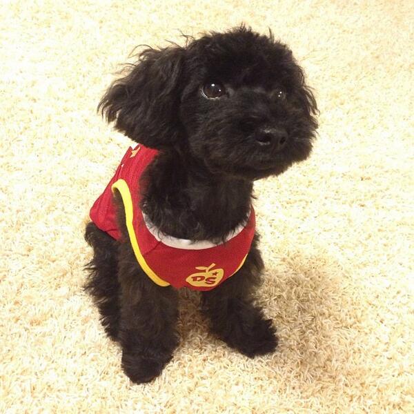 [Tangstagram] 우리가야구에빠져있을때진져는농구를외쳤지💫 instagram.com/p/cfsESkH_qi/