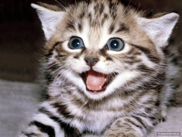 When your teacher says you're doing something right in front of all dancers from your class. #ballet407