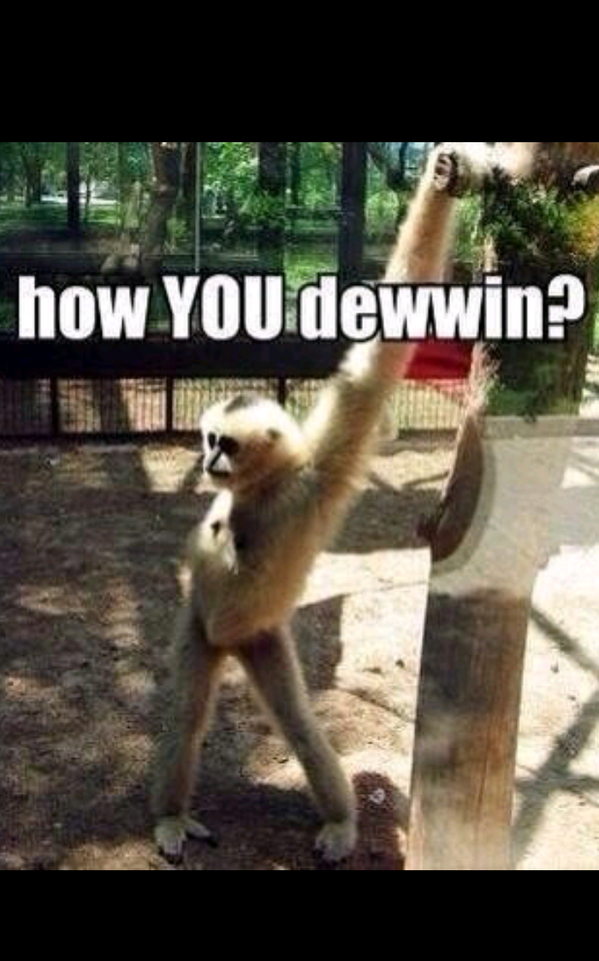 rubestaaa's tweet photo. @HarleyProvan haha ;) http://t.co/silSV7HzL4