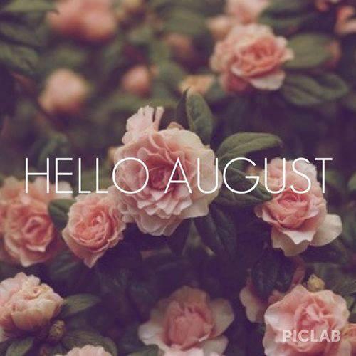 Dorothea Salta tweet media