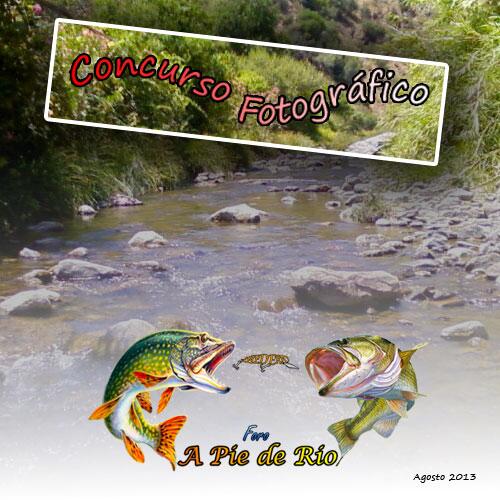 APieDeRio's tweet photo. Concurso fotográfico abierto. Participa con tu mejor instantánea en http://t.co/lYWWJR8Q1M http://t.co/QEzW3tZkvo