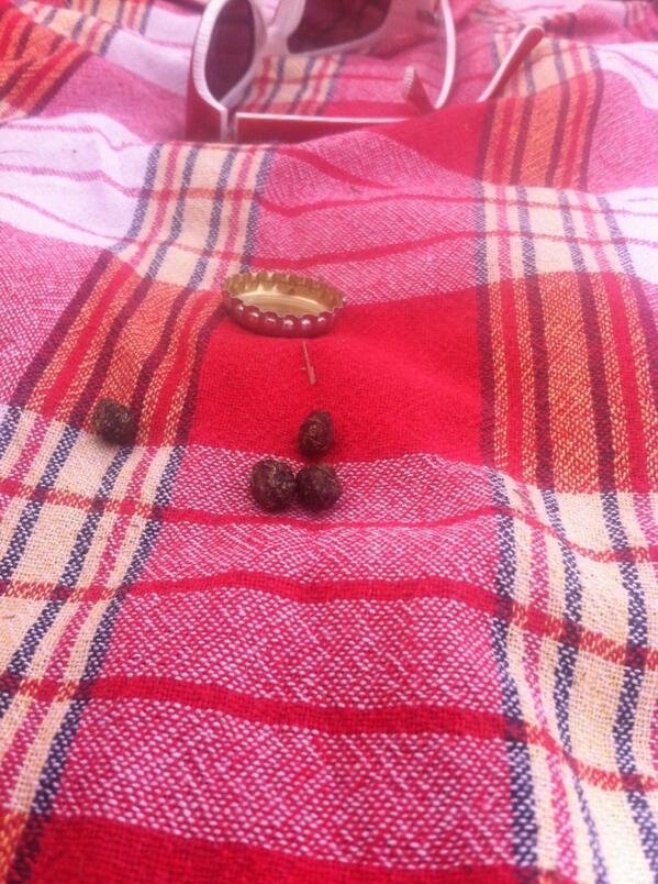 frheinrich's tweet image. Wer hat mir aufs Handtuch gekackt, als ich im Wasser war??? Los! #werwars?