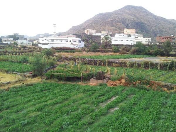 قرية رسبا (@rooosba) on Twitter photo 