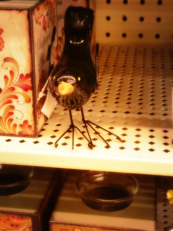 kelbylouis's tweet image. I just had to "tweet" about this! #tweet #hobbylobby #randombird