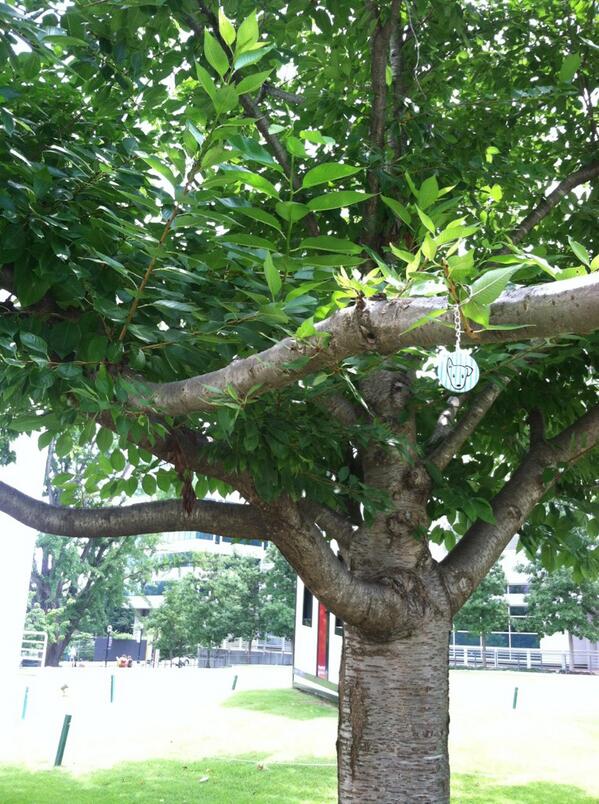 straytl's tweet image. Rosie climbing trees #FAFATL