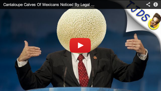 TYTComedy tweet media