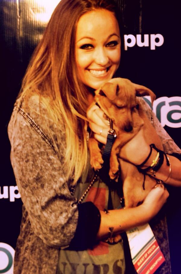 AshleyGreene7's tweet photo. #orapup love me some pups! #vidcon #vidcon2013 http://t.co/9D5LZkyzMI