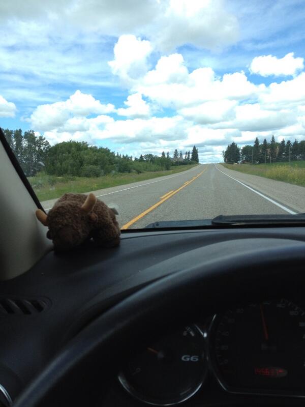 xMegaphone's tweet image. On our way to family camp :D #bisonsolutions #longweekend