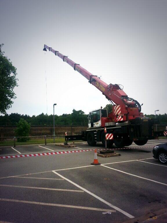 BatchwoodLC's tweet image. #CraneWatching